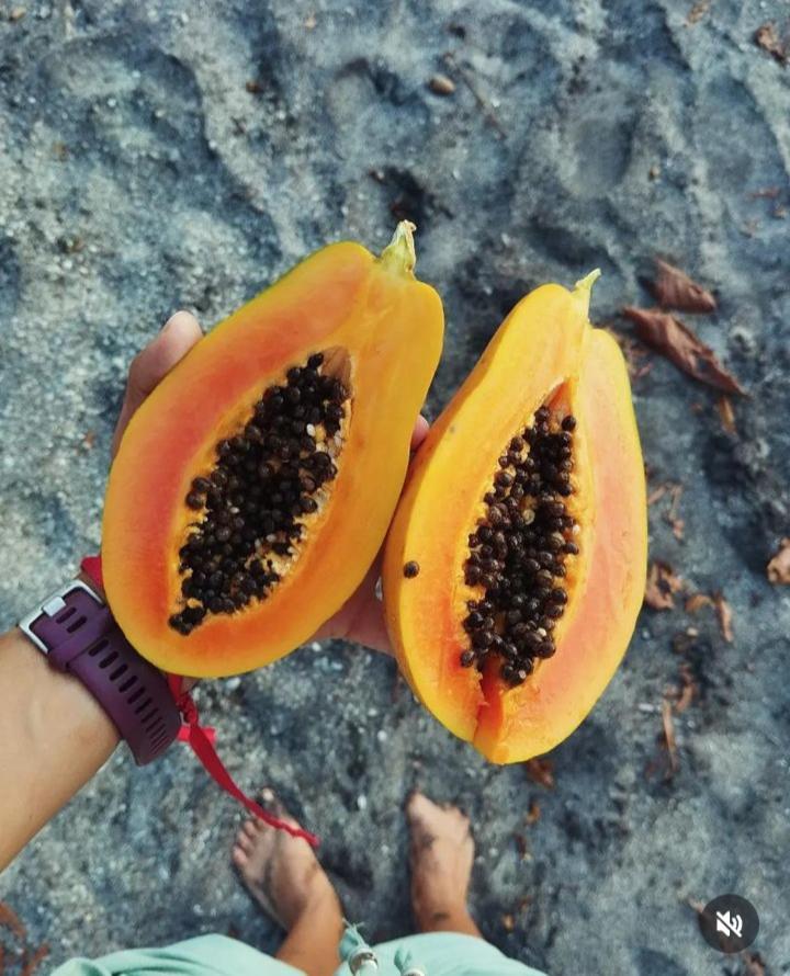 Nanku Nimbu Casa-Bus Equipada Cerca De Playas Lägenhet Sámara Exteriör bild