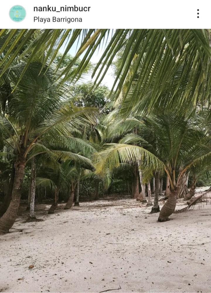 Nanku Nimbu Casa-Bus Equipada Cerca De Playas Lägenhet Sámara Exteriör bild